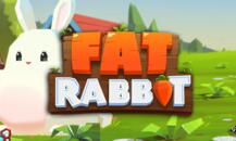 Fat Rabbit