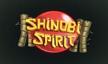 Shinobi Spirit